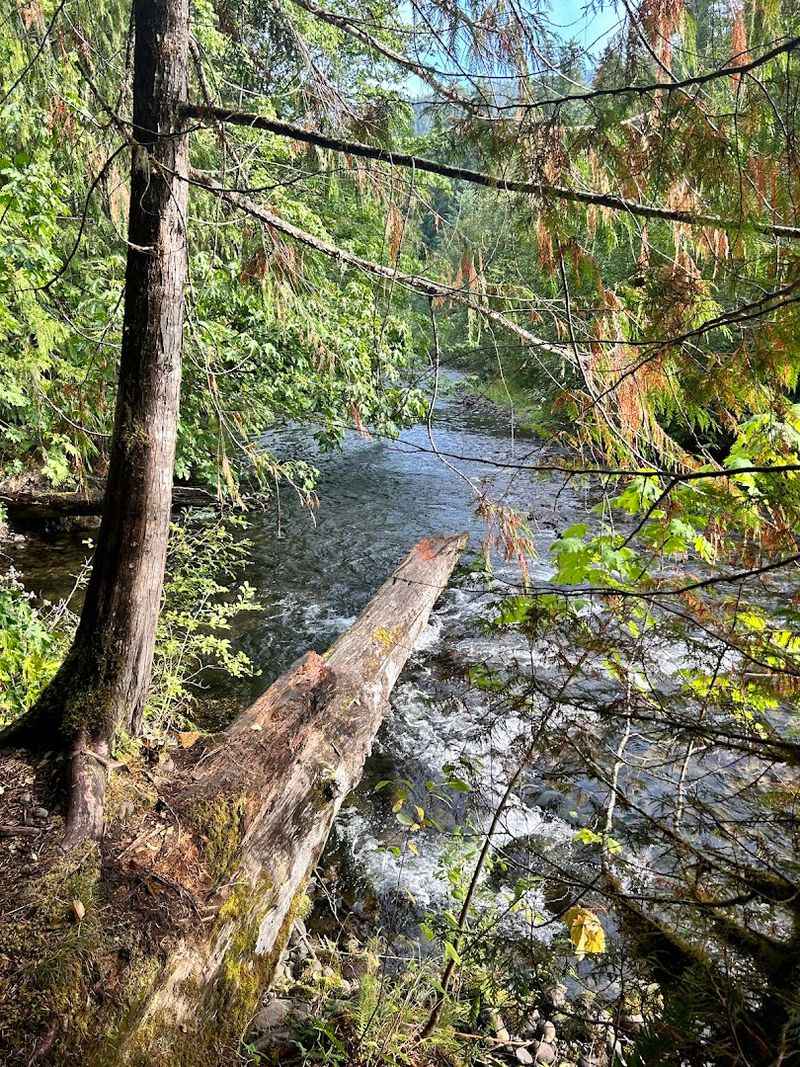Tips for Making the Most of Your McCredie Hot Springs Trip