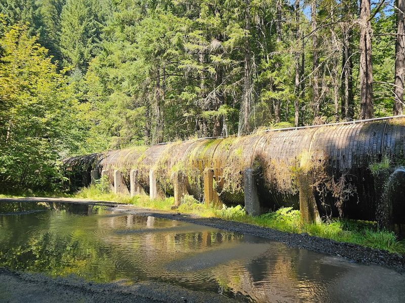 Toketee Falls Swimming Pool, North Umpqua River, Oregon