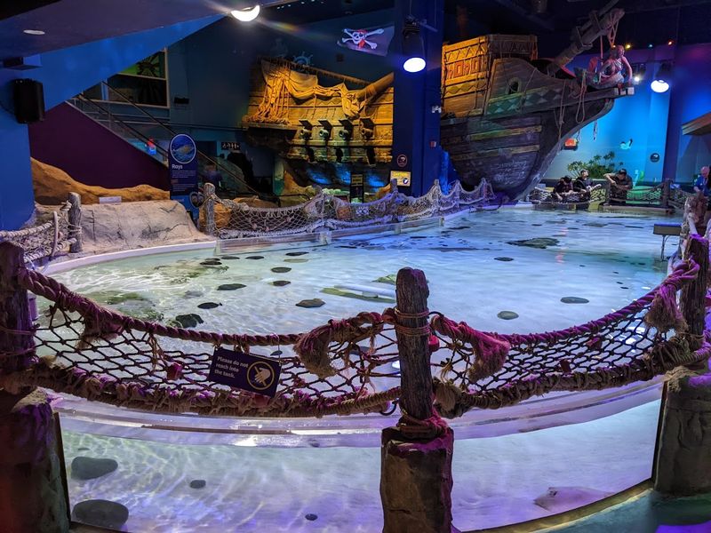 Touch Pools Where Kids Get Hands-On