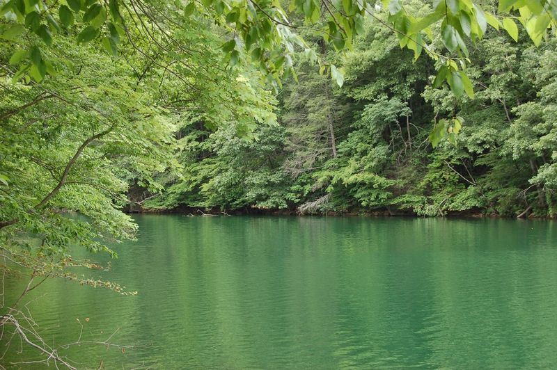 Town's Creek and the Birth of a Community Called Philpott Town's Creek and the Birth of a Community Called Philpott
