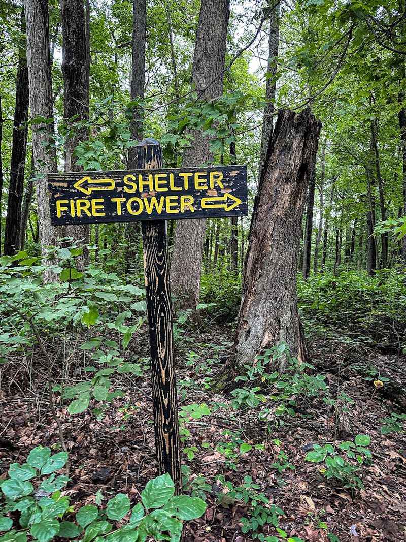 Trail 10 (The Fire Tower Trail) at Brown County State Park Trail 10 (The Fire Tower Trail) at Brown County State Park