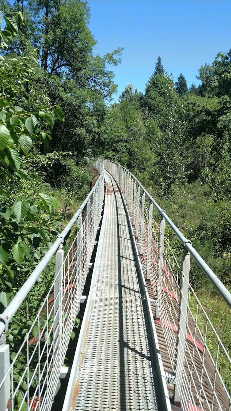 Trail Difficulty and What to Expect Underfoot