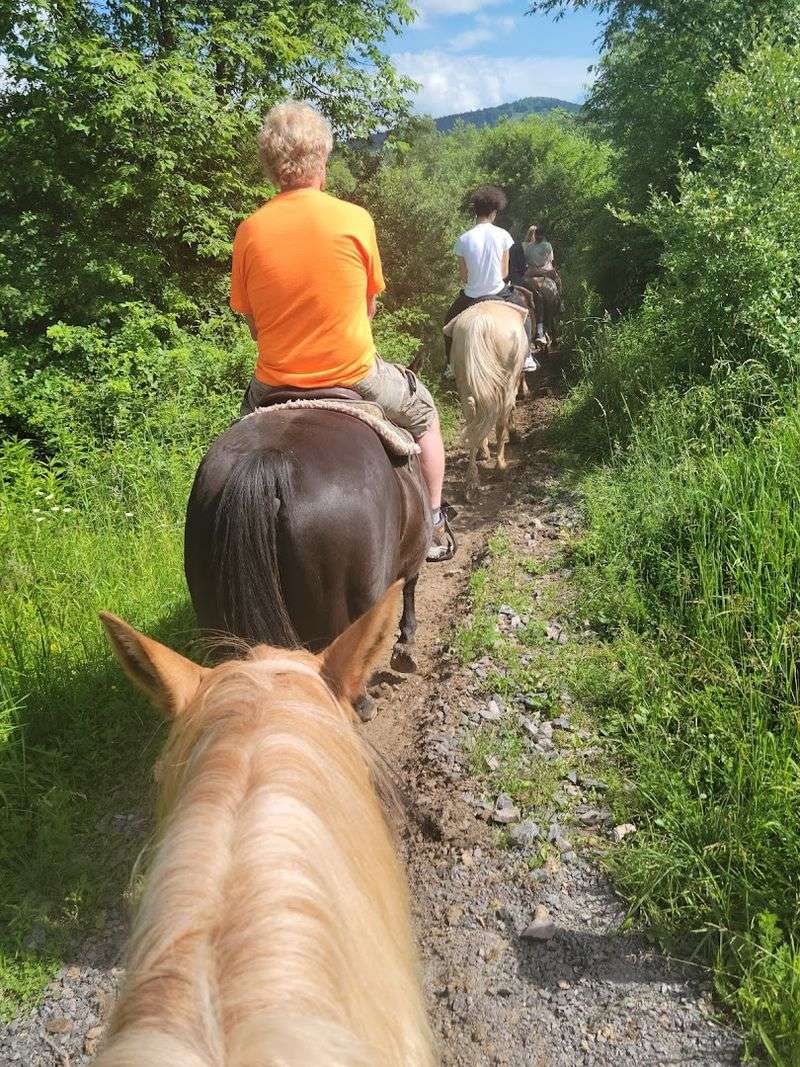 Trail Options That Fit Your Schedule