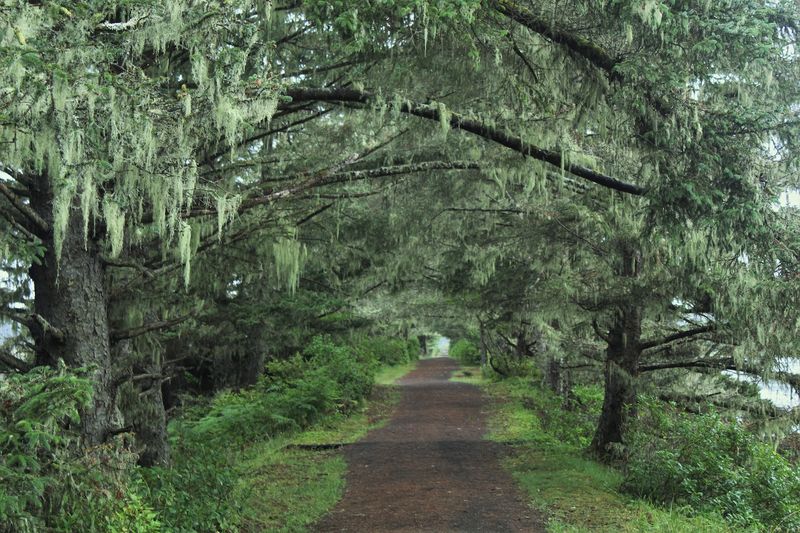 Trail System Built for Every Pace Trail System Built for Every Pace