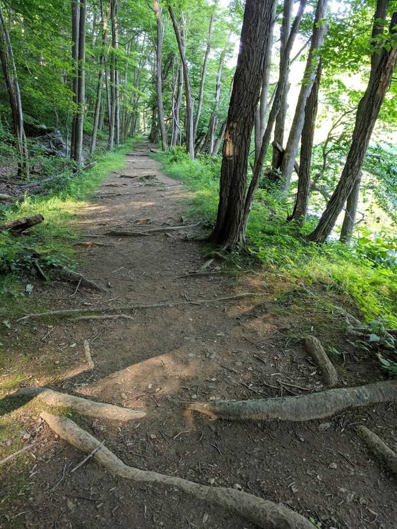 Trails Along the Black River Trails Along the Black River