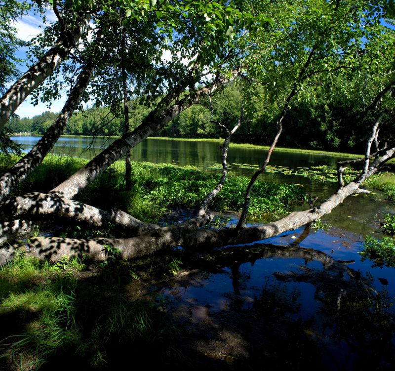 Trails, Bikes, and Year-Round Ways to Explore Trails, Bikes, and Year-Round Ways to Explore