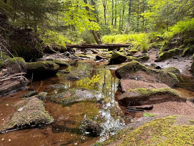 Trails Built for the Adventurous