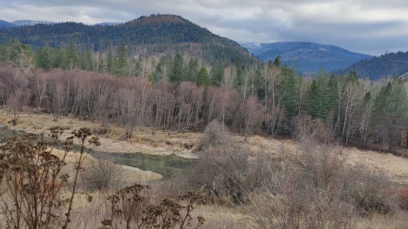 Trails, Cemetery, and the Grounds Beyond the Church