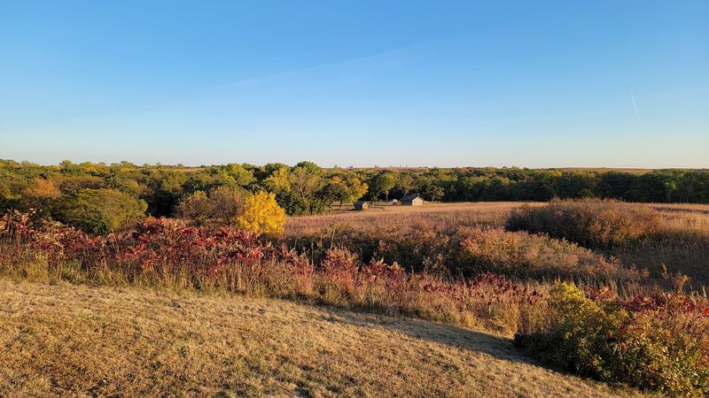 Trails, Prairie Wildflowers, and the Quietest Hike in Nebraska Trails, Prairie Wildflowers, and the Quietest Hike in Nebraska