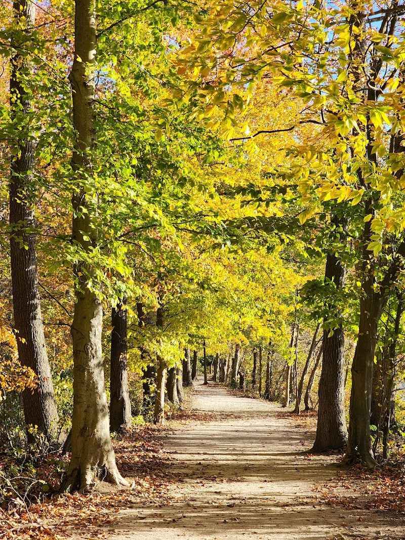 Trails That Feel Like a Real Woods Adventure