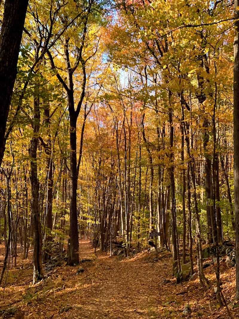 Trails That Go Way Beyond the Ruins