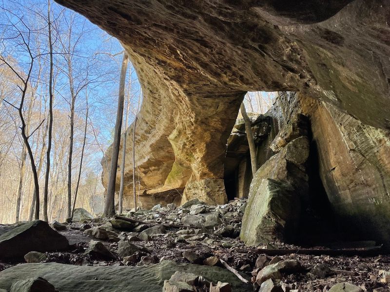 Trails That Surprise You Around Every Bend Trails That Surprise You Around Every Bend