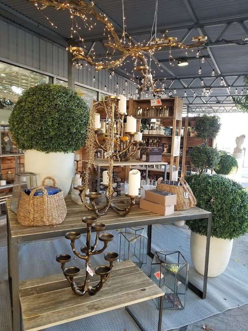 Trees and Large Specimens Make a Bold Statement