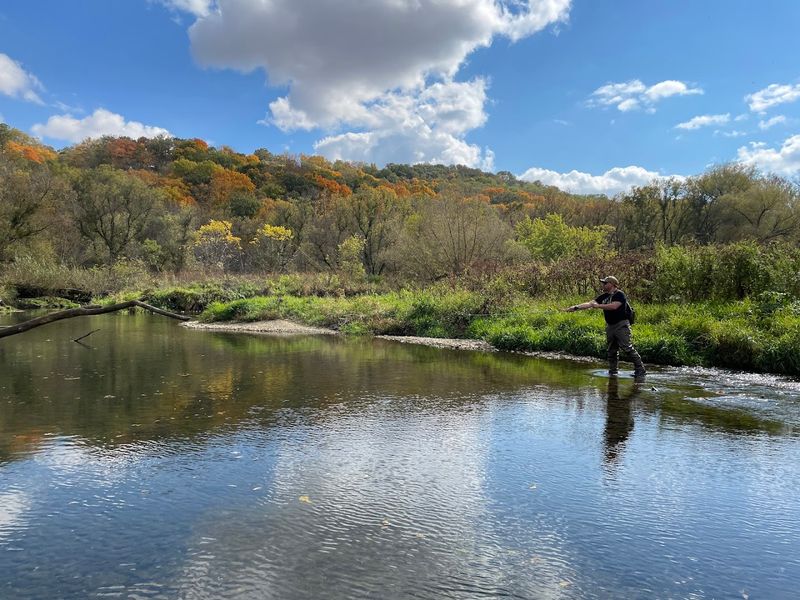Trout Fishing in the Root River