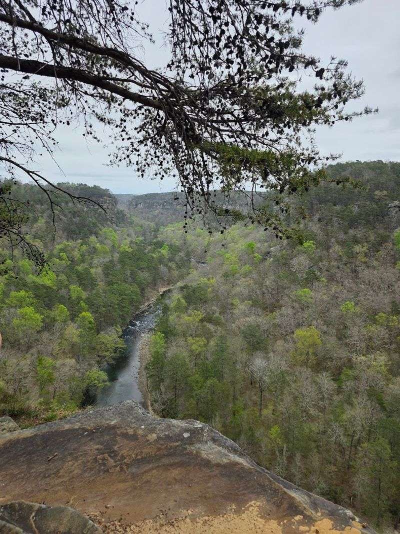 True Adventure Sports: Wild Cave Tours Near Little River Canyon True Adventure Sports: Wild Cave Tours Near Little River Canyon