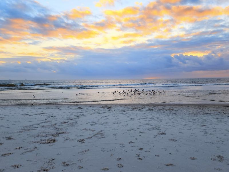 Try A Sunrise Walk Before The Heat Arrives