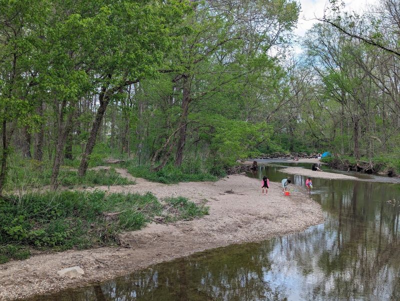 Try Creek Stomping in Cool Creek With Your Kids