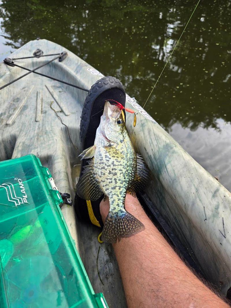 Try Kayaking the Refuge Fishing Ponds and Wetlands