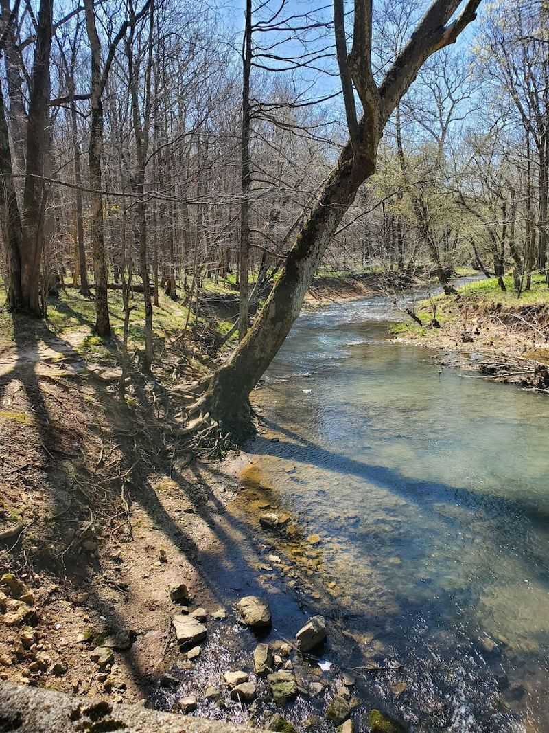 Try Photography Along Lick Creek in Fall or Spring