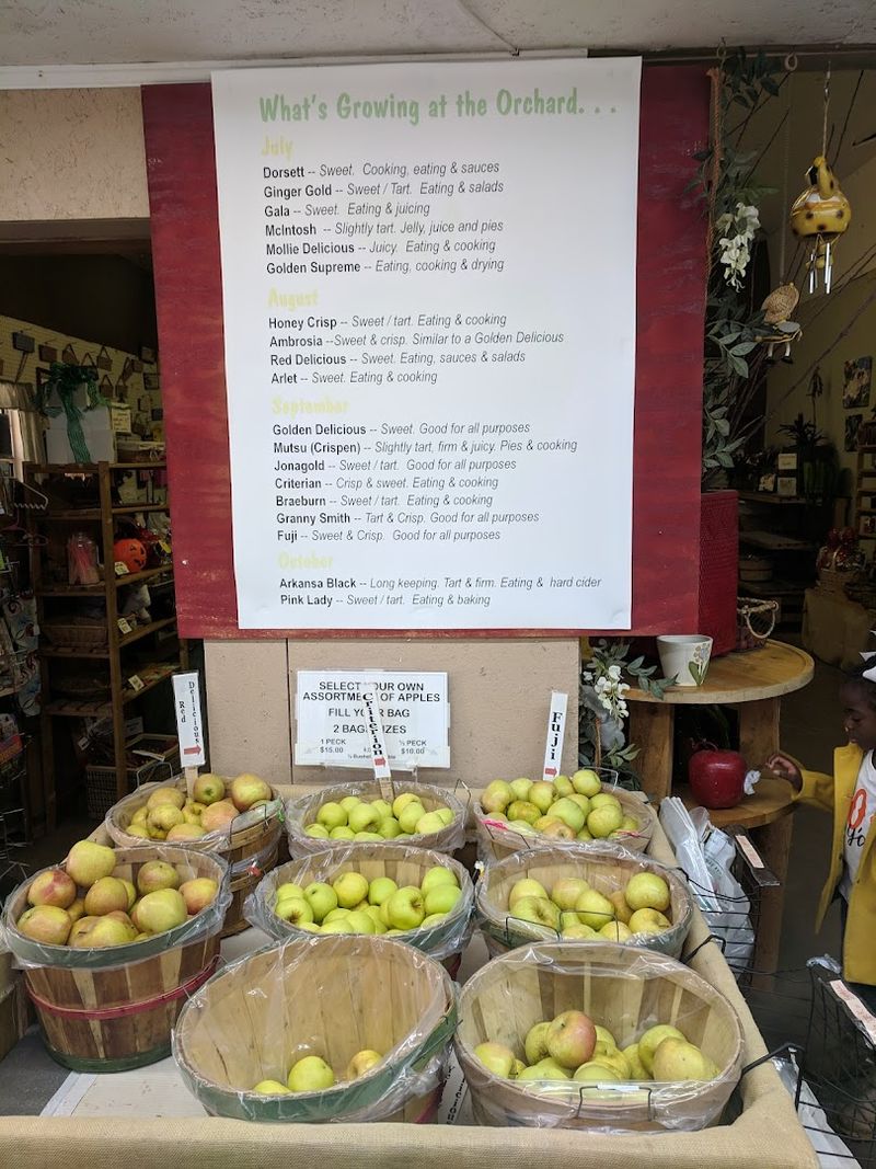Try The Apple Cider While You Are There Try The Apple Cider While You Are There