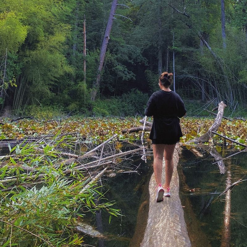 Try This Trail With Kids Or Dogs