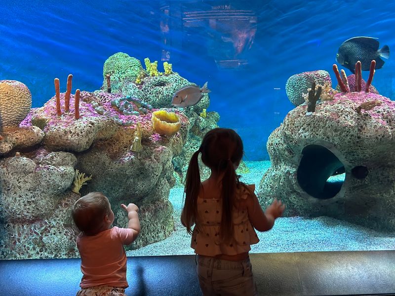 Try the NatureScope Exhibit for Live Animals and Alabama Wildlife