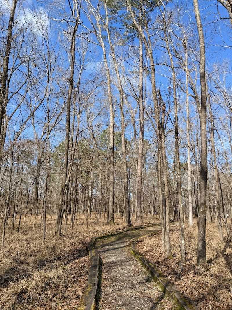 Try the William Bartram Nature Trail for Scenic Walks