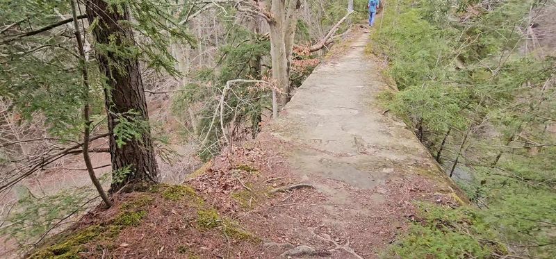 Turkey Backbone and Devil's Backbone (Trail 10) - Pine Hills Nature Preserve