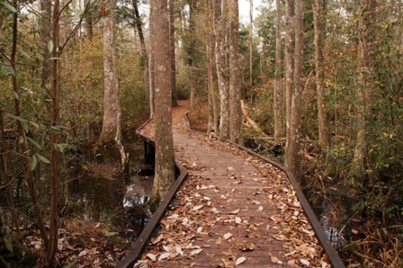 Turkey Creek Trail: The Long Walk Worth Every Step Turkey Creek Trail: The Long Walk Worth Every Step