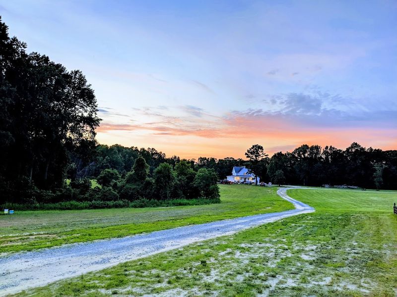 Twilight Friday Nights With Live Music and Glowing Fields Twilight Friday Nights With Live Music and Glowing Fields