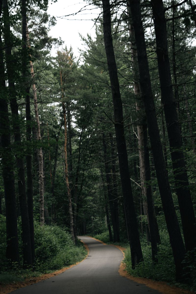 Unexplainable Tapping Sounds That Follow Visitors Along the Road