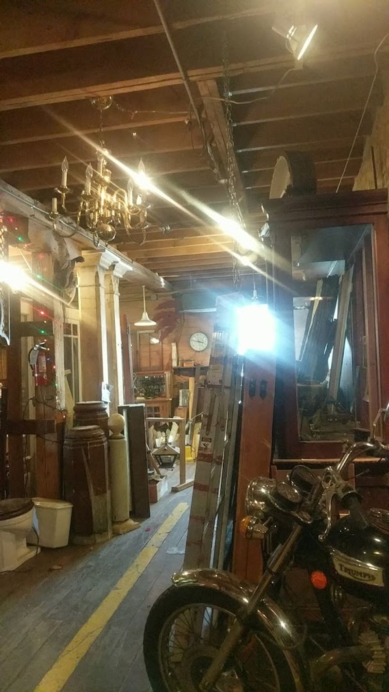 Unusual Finds You Simply Will Not Spot Anywhere Else