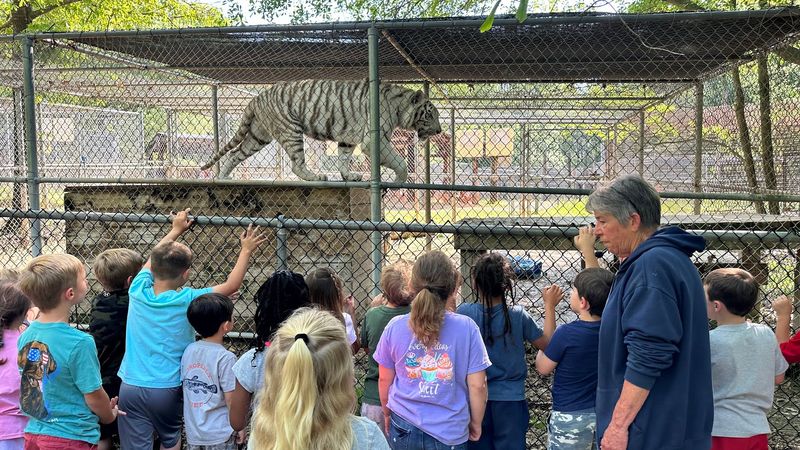 Up-Close Predator Viewing That Feels Almost Unreal Up-Close Predator Viewing That Feels Almost Unreal