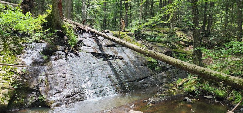 Upper Stony Brook Falls and Its Surprisingly Subtle Charm Upper Stony Brook Falls and Its Surprisingly Subtle Charm
