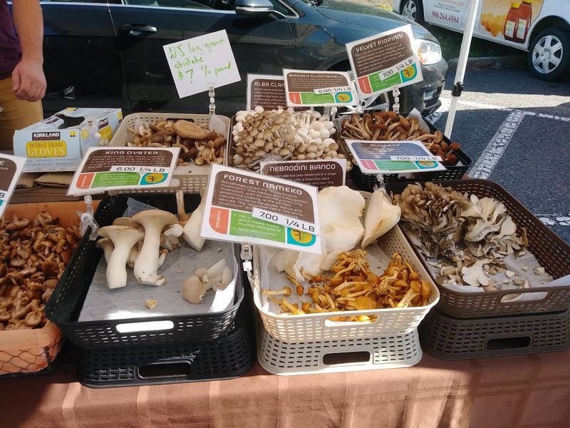 Vegan and Vegetarian Options Done Right