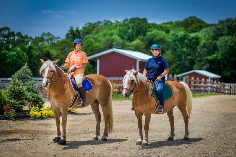 Veterans Find Healing in the Saddle and on the Reins