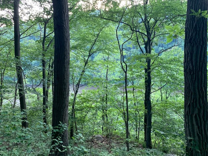 Views of the River and Weygadt Gap Along the Way
