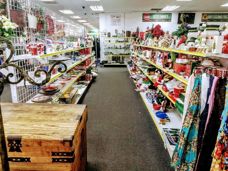 Vintage Finds That Stop You Mid-Aisle