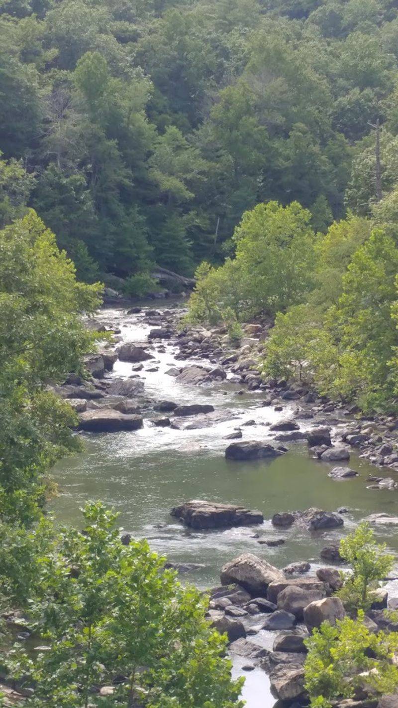 Virginia Scenic River Status and What It Actually Means for You
