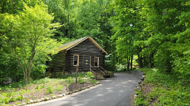 Visit an Old-Growth Forest That Has Stood for Centuries