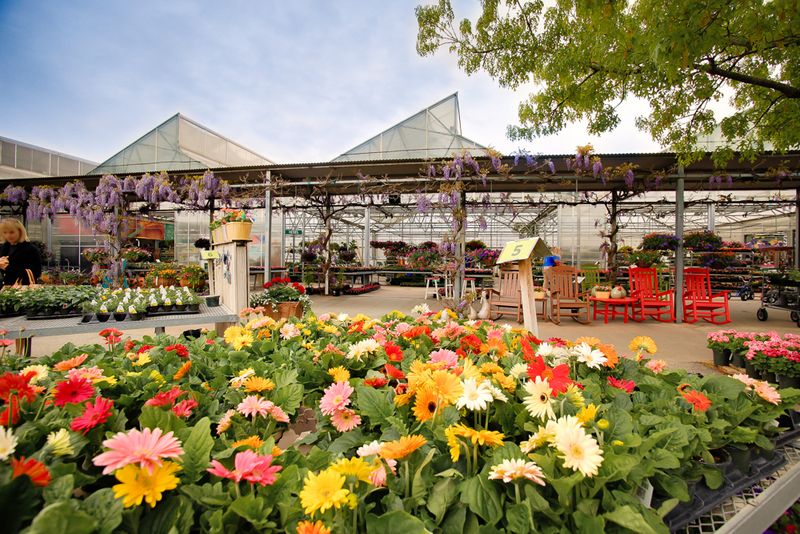 Visiting in Spring Brings a Whole New Energy to the Place