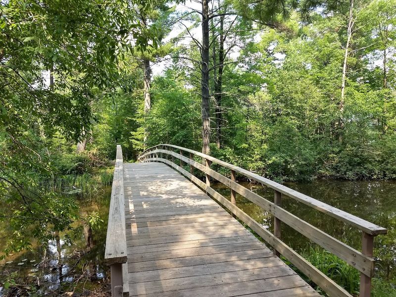 Visiting the Bloody Bride Bridge: What to Expect and How to Experience It Responsibly Visiting the Bloody Bride Bridge: What to Expect and How to Experience It Responsibly