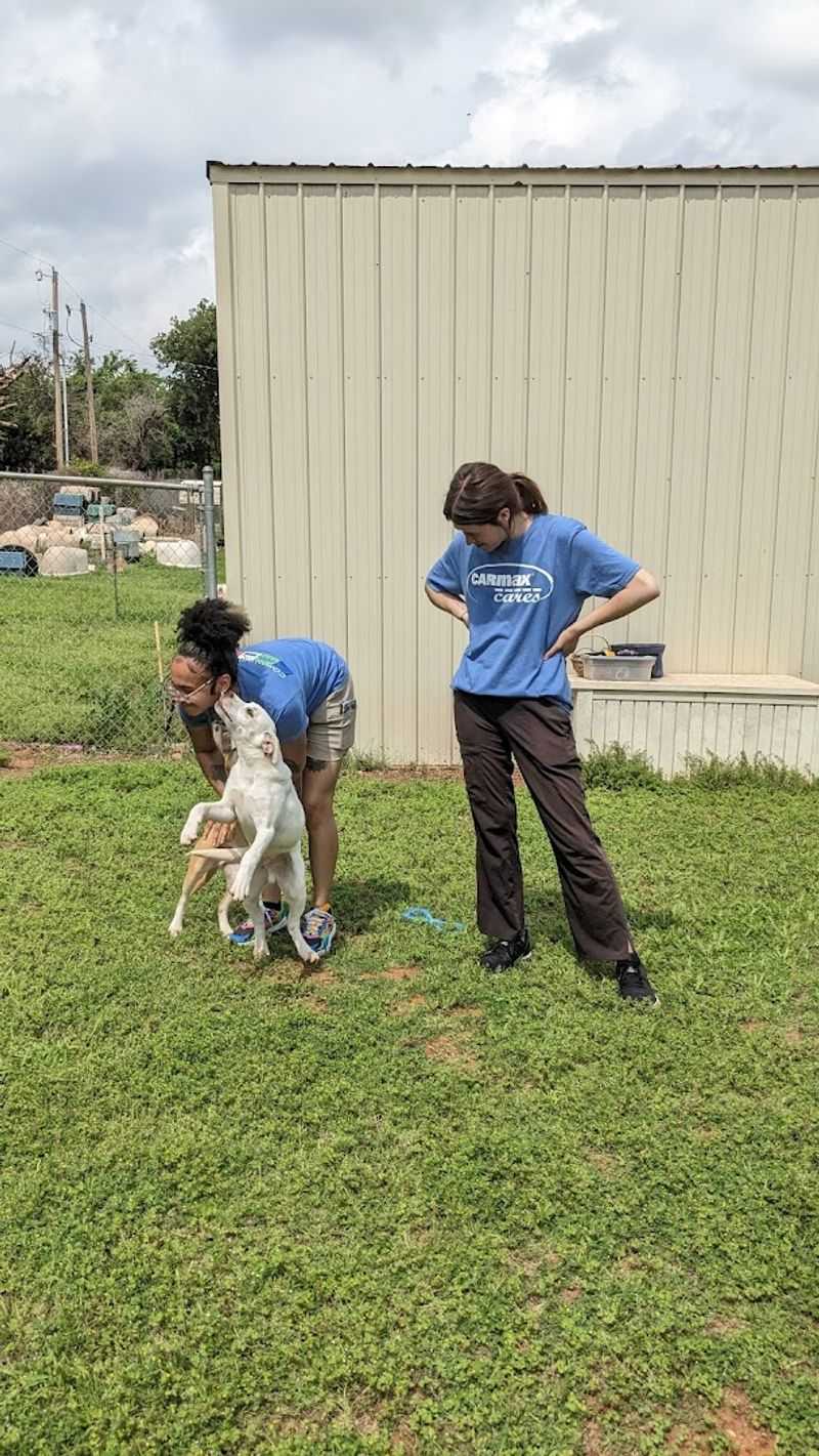 Volunteering Opportunities at the Sanctuary