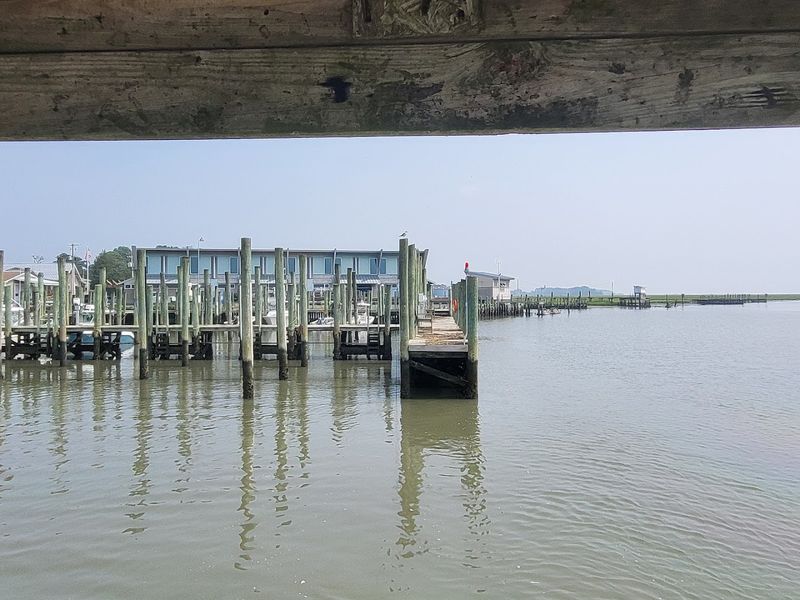 Wachapreague Waterfront Boardwalk