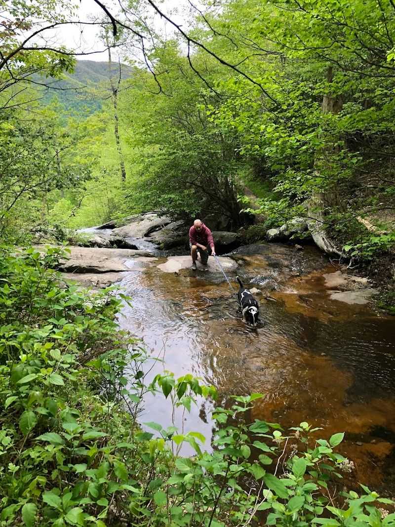 Wading Pools at the Base Make It Perfect for Families