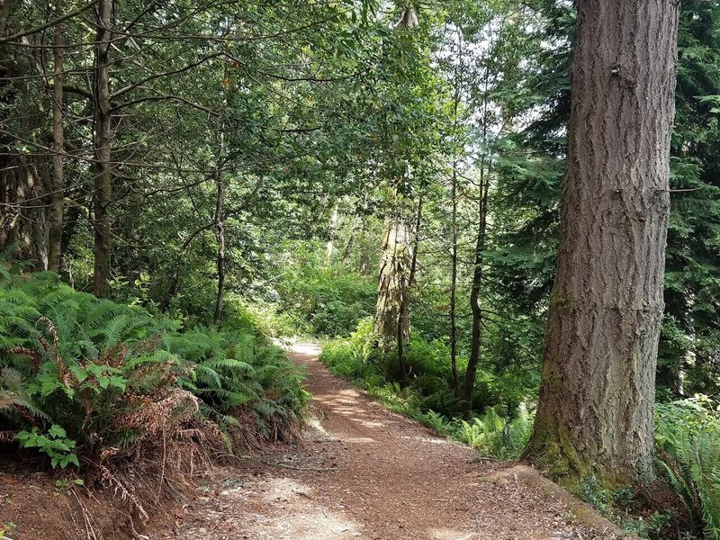 Walking Paths and Nature Trails
