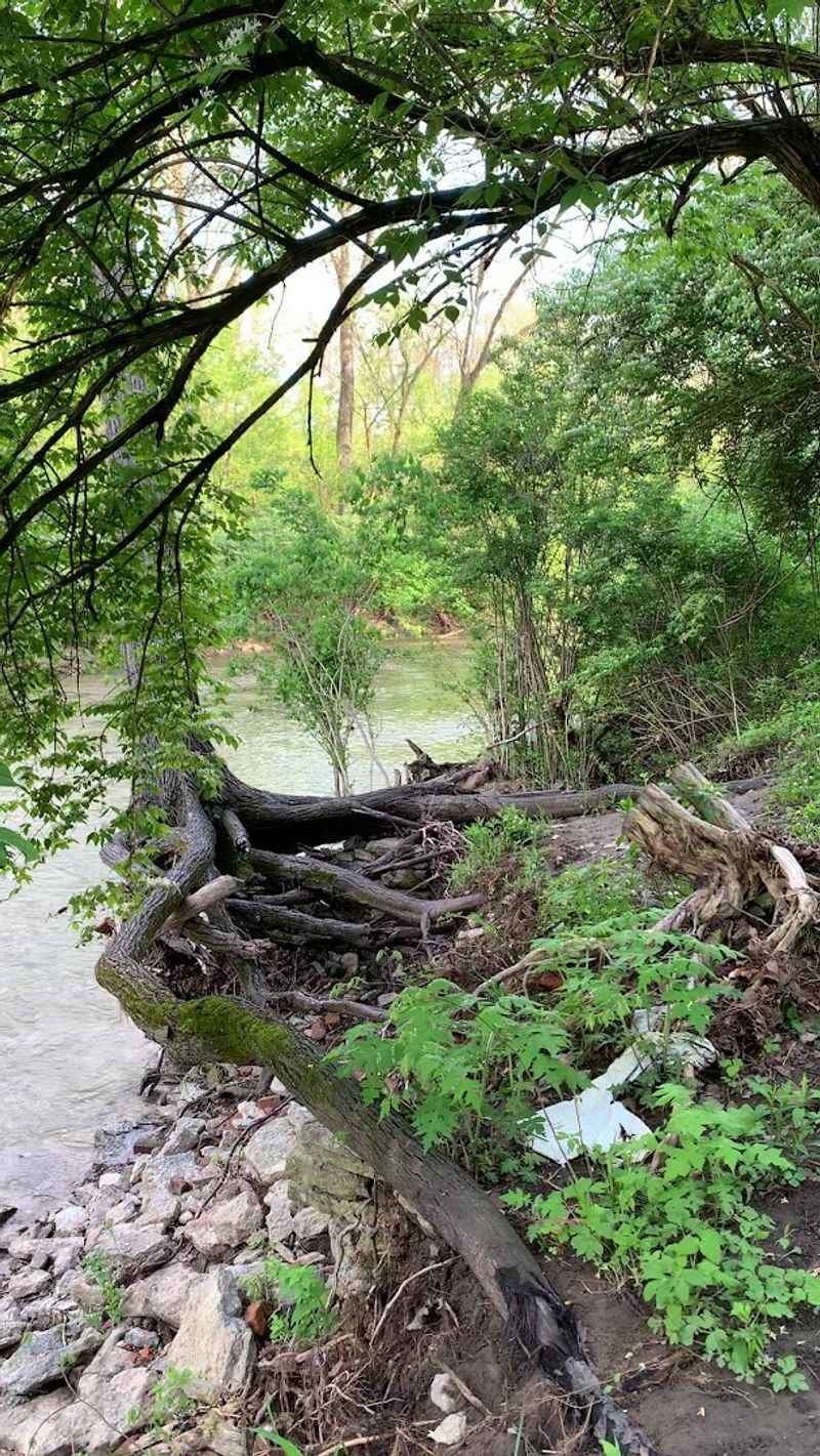 Walking The Creek Changes Everything