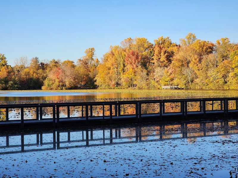 Walking the 600-Foot Floating Bridge on Smithville Lake