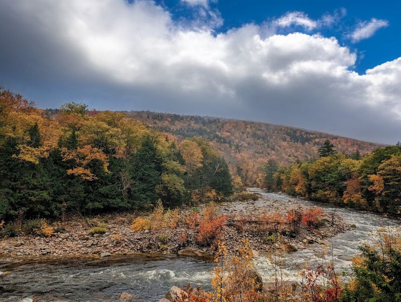 Walking the Sam Willey Trail Along the Saco River