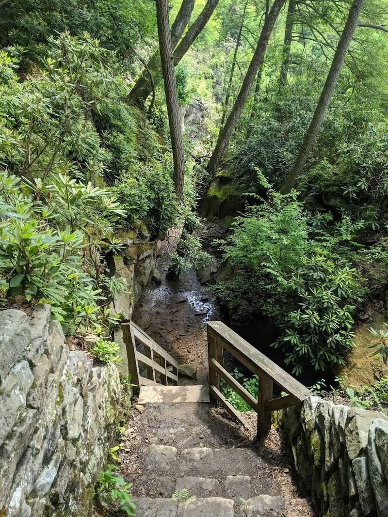 Walking the Wooden Boardwalk Beneath the Rock Ledge